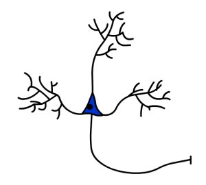 Neuron Psychology