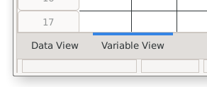 This shows an option in the lower left corner of the data editor for switching between the data view and the variable view.
