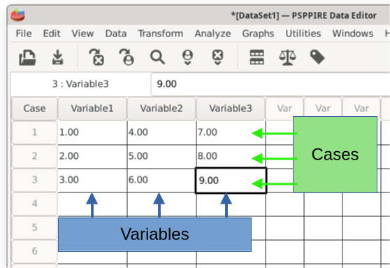 The data editor in the data view showing that the columns are variables and the rows are cases.