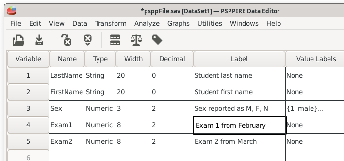 The variable view with data fields for variable names, type, width, decimals, and label.