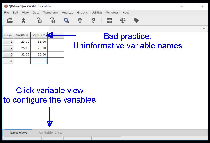 Switching the data view to the variable view by clicking on variable view in the lower left corner